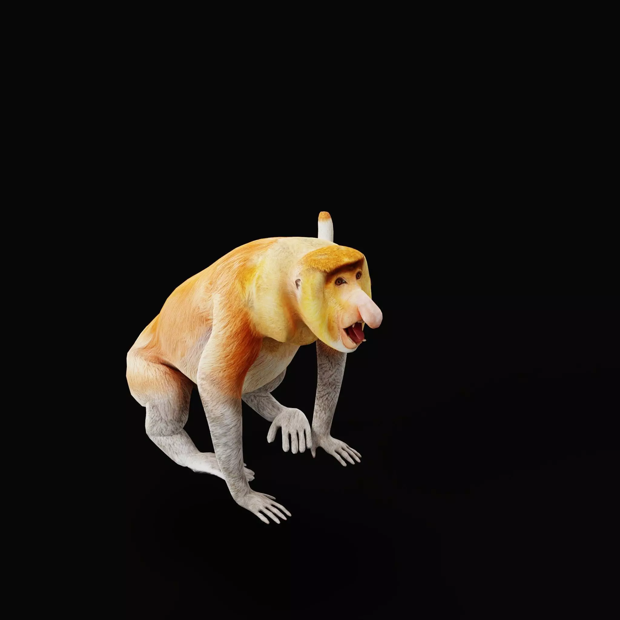 Proboscis Long Nosed Monkey Male Low-poly 3D model_56