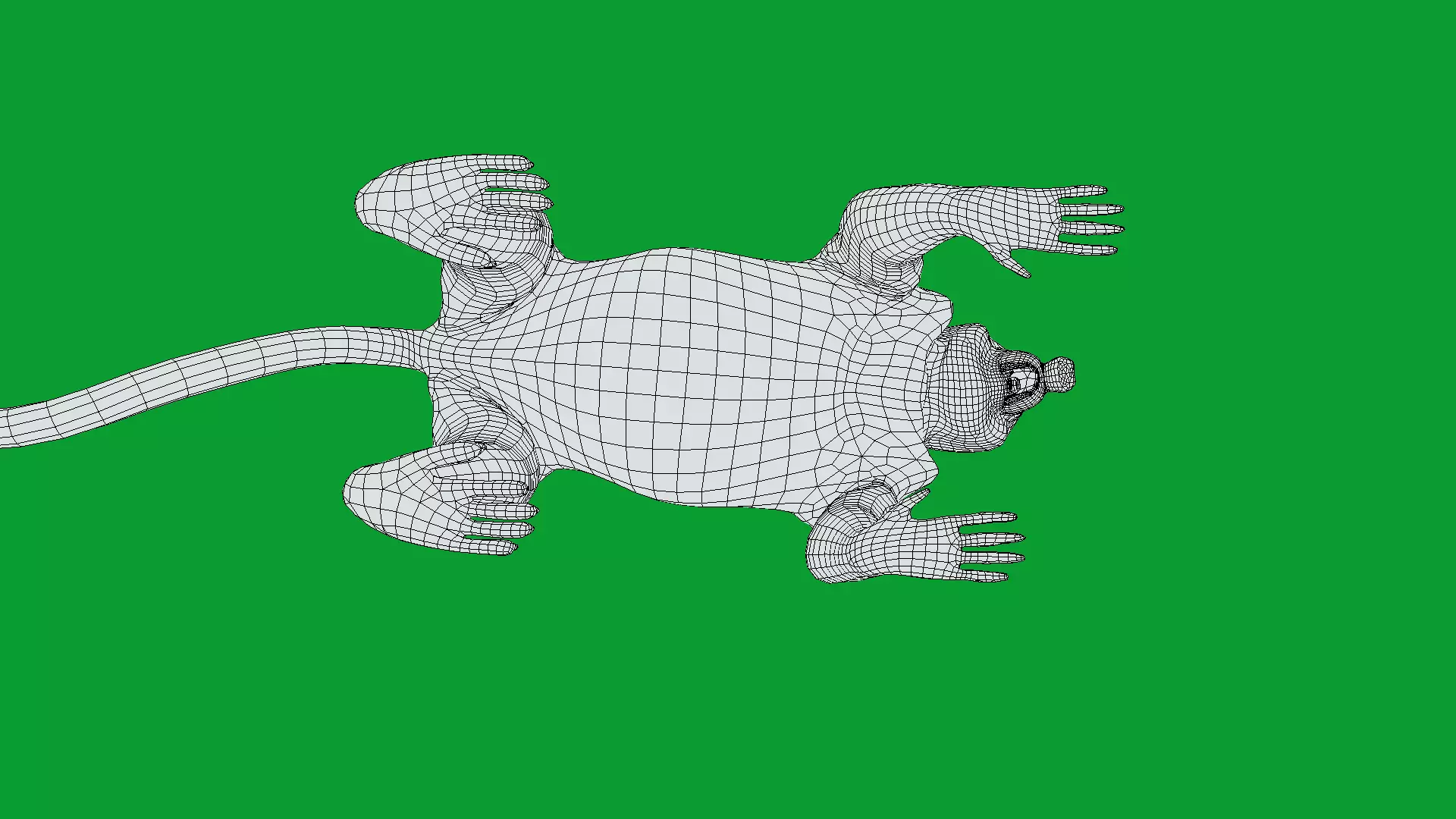 Proboscis Long Nosed Monkey Male Low-poly 3D model_26