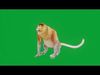 Proboscis Long Nosed Monkey Male Low-poly 3D model_1