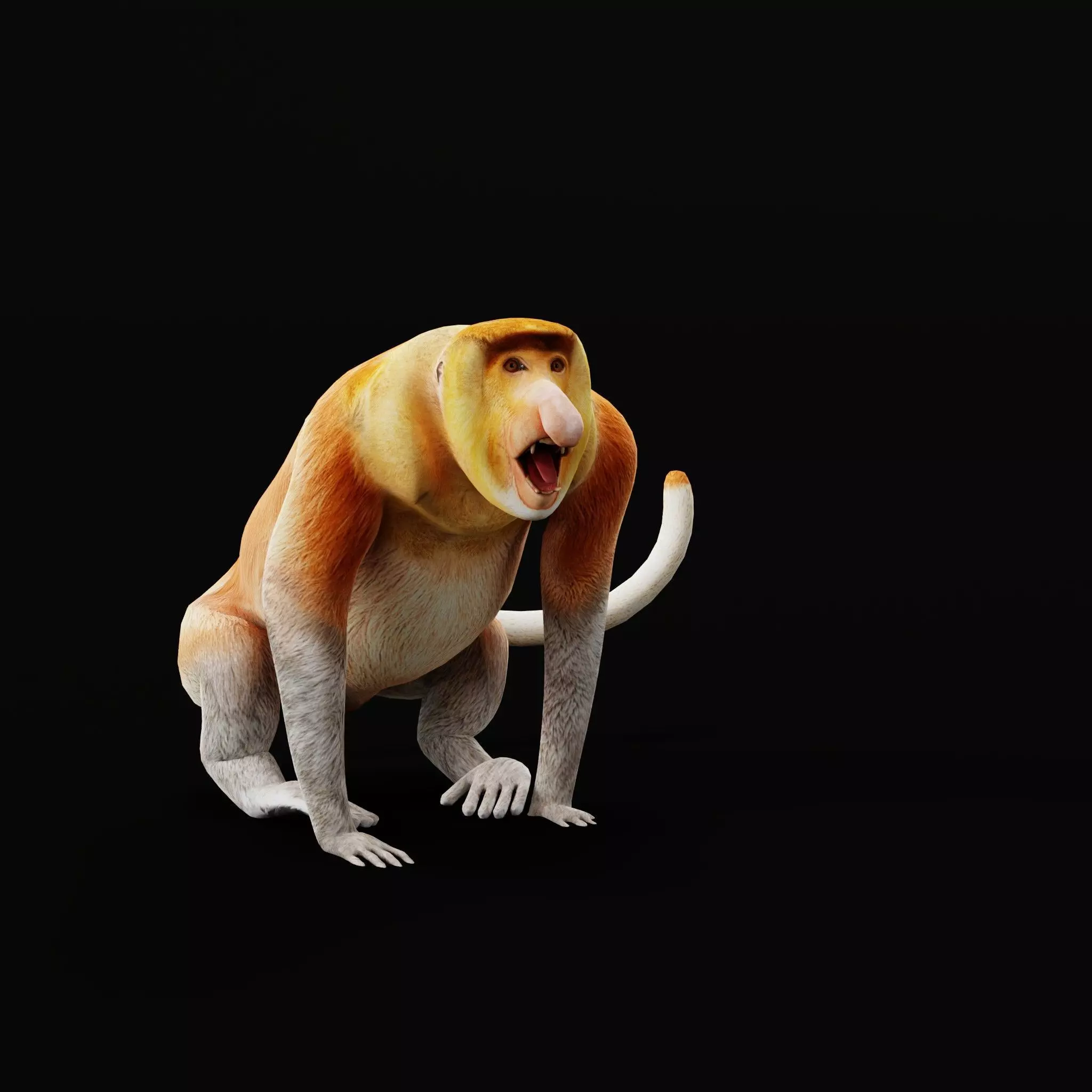 Proboscis Long Nosed Monkey Male Low-poly 3D model_57