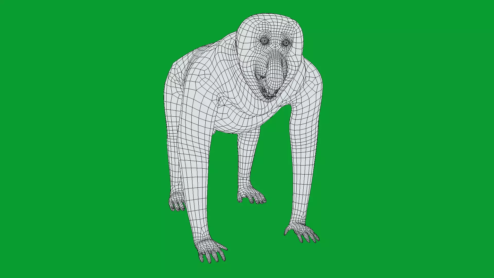 Proboscis Long Nosed Monkey Male Low-poly 3D model_24