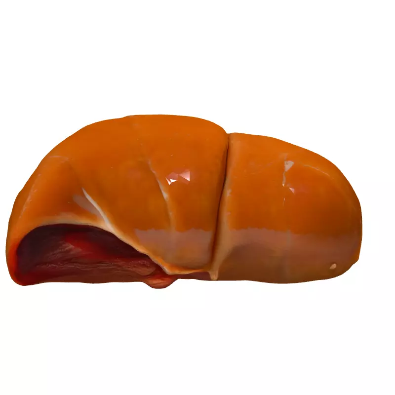 Realistic Glazed Ham 3D Model Low-poly 3D model_4