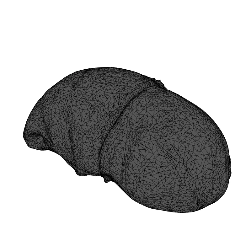 Realistic Glazed Ham 3D Model Low-poly 3D model_9