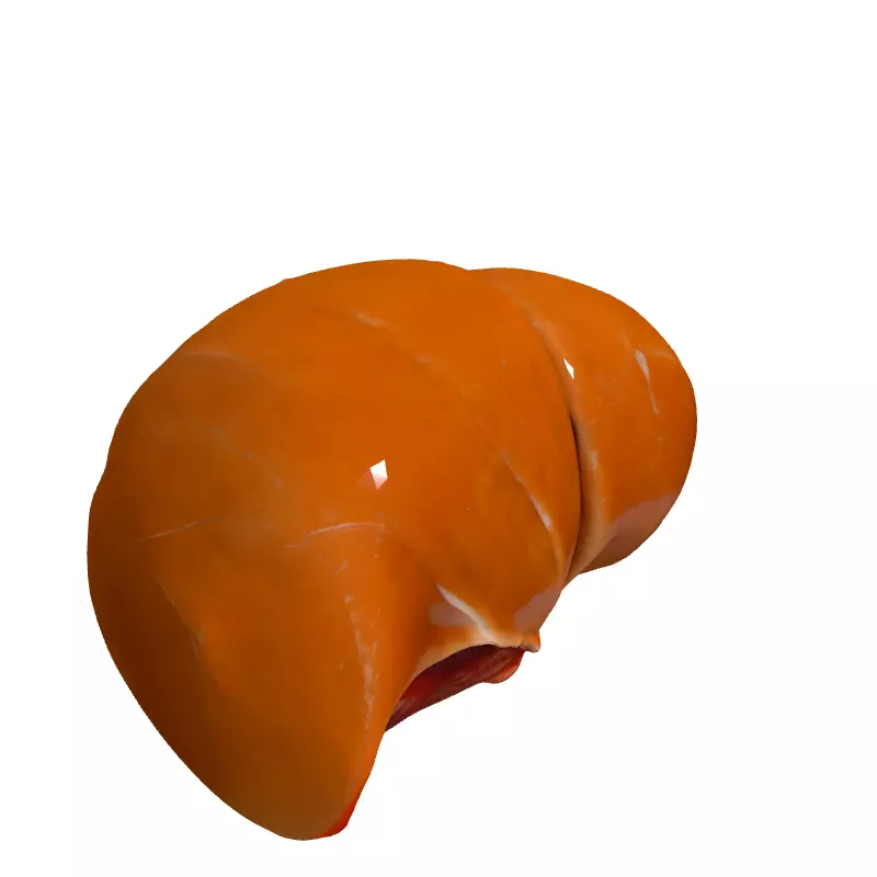 Realistic Glazed Ham 3D Model Low-poly 3D model_3