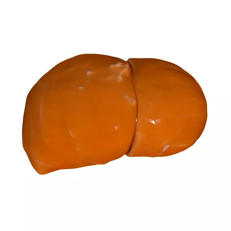 Realistic Glazed Ham 3D Model Low-poly 3D model_8