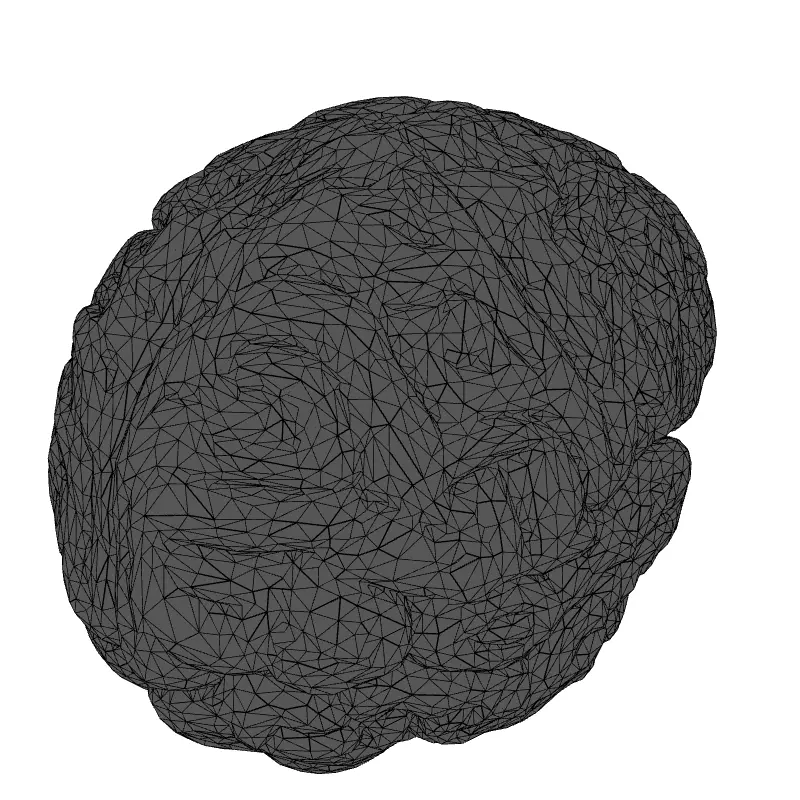 Realistic Human Brain 3D Model Low-poly 3D model_1