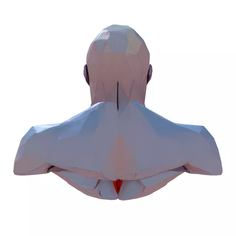Low Poly Anatomical Male Torso Low-poly 3D model_7