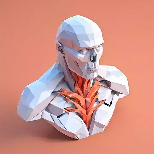 Low Poly Anatomical Male Torso Low-poly 3D model