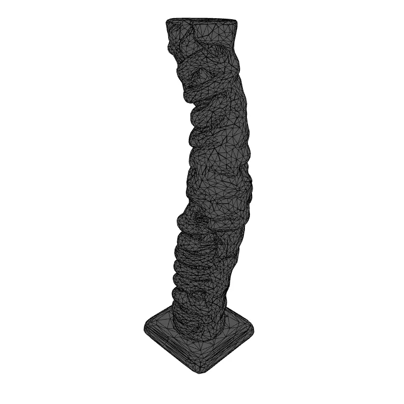 Realistic 3D Human Spine Model Low-poly 3D model_9