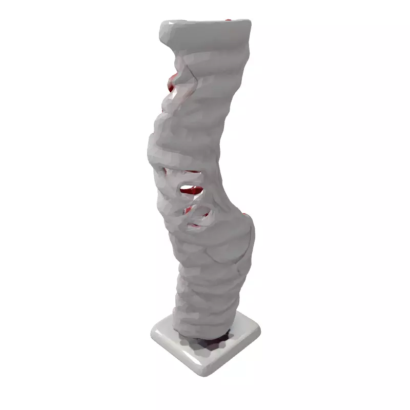 Realistic 3D Human Spine Model Low-poly 3D model_5