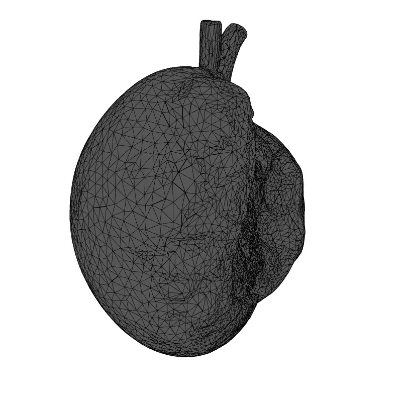 Healthy vs Cirrhotic Liver 3D Model Low-poly 3D model_1