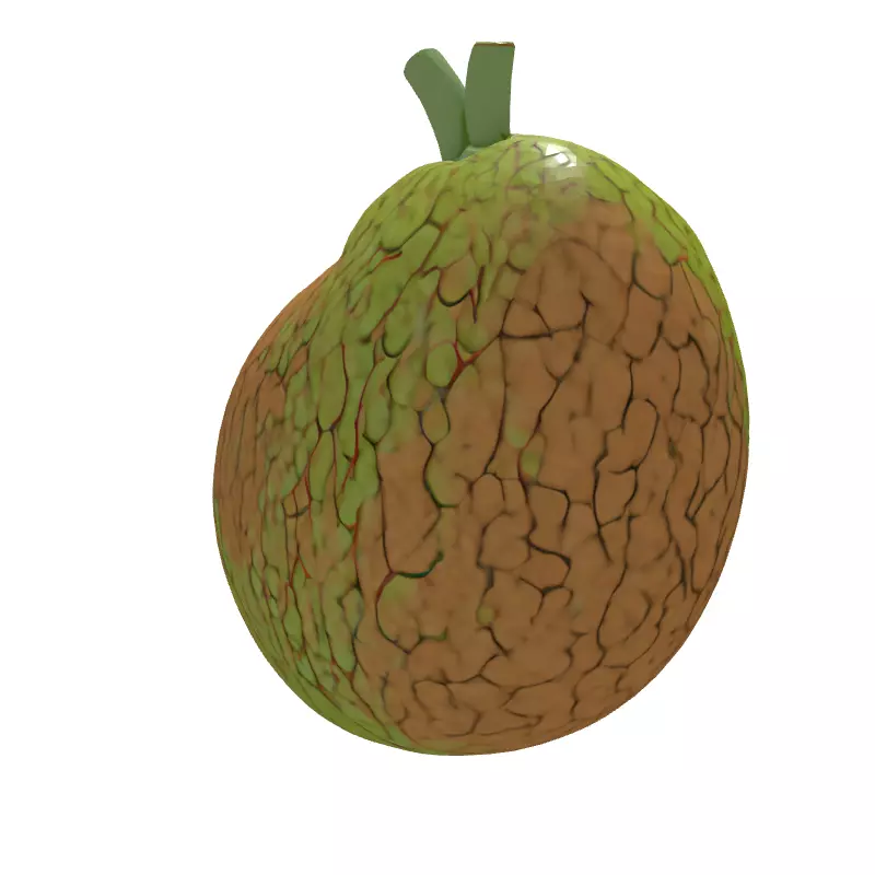 Healthy vs Cirrhotic Liver 3D Model Low-poly 3D model_6