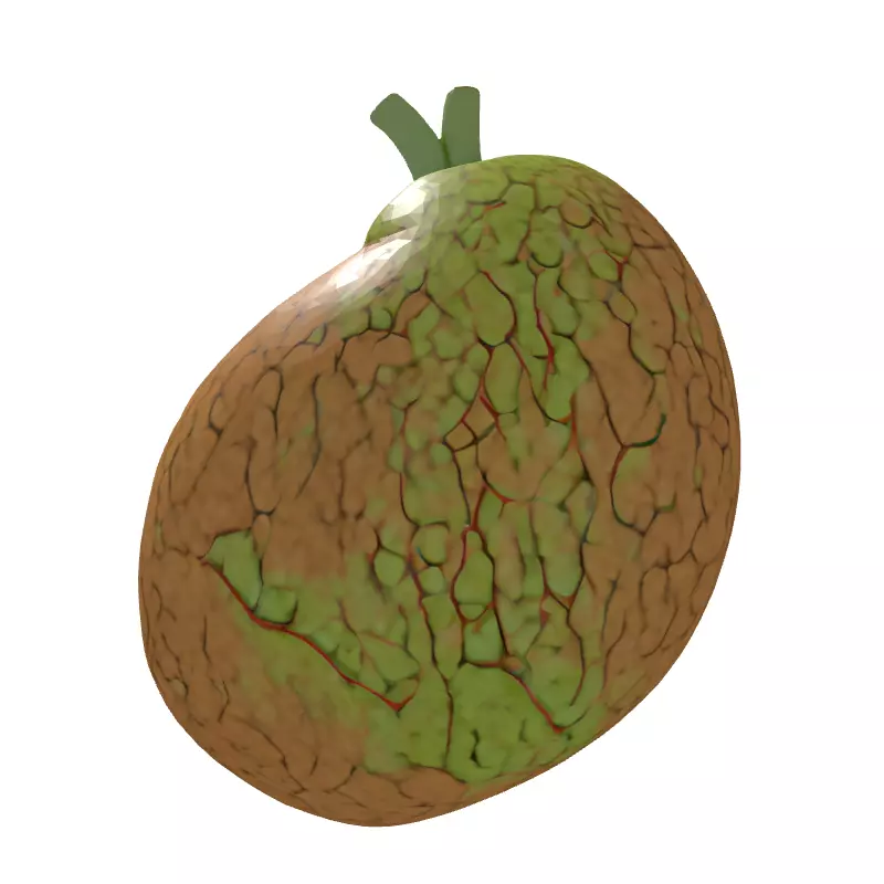 Healthy vs Cirrhotic Liver 3D Model Low-poly 3D model_7