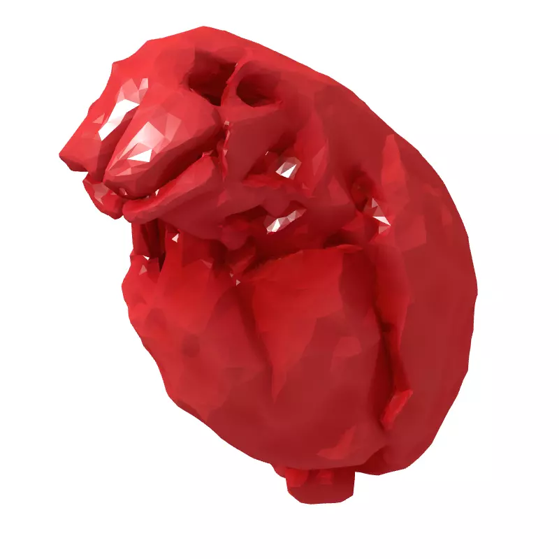 LowPoly Stylized Human Heart Low-poly 3D model_5