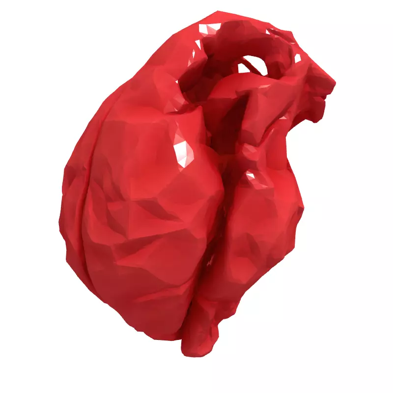 LowPoly Stylized Human Heart Low-poly 3D model_4