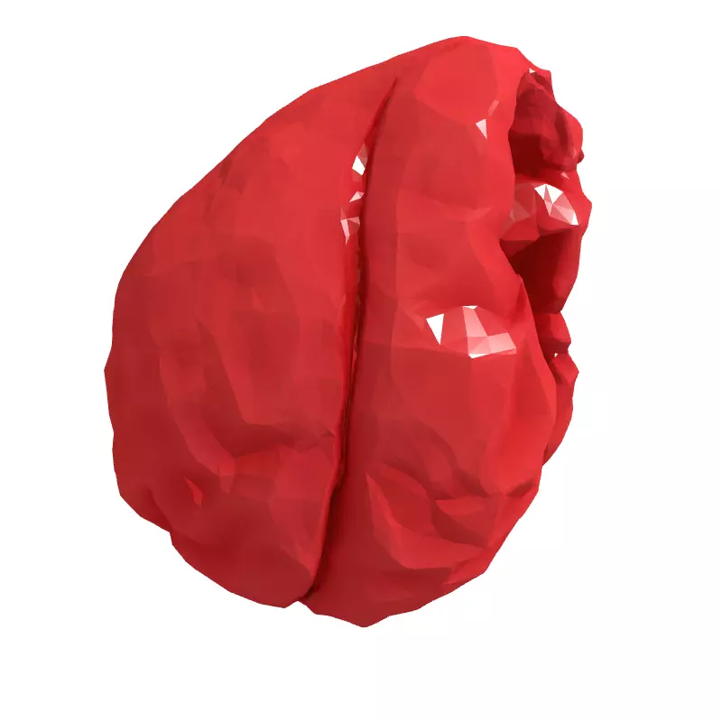LowPoly Stylized Human Heart Low-poly 3D model_3