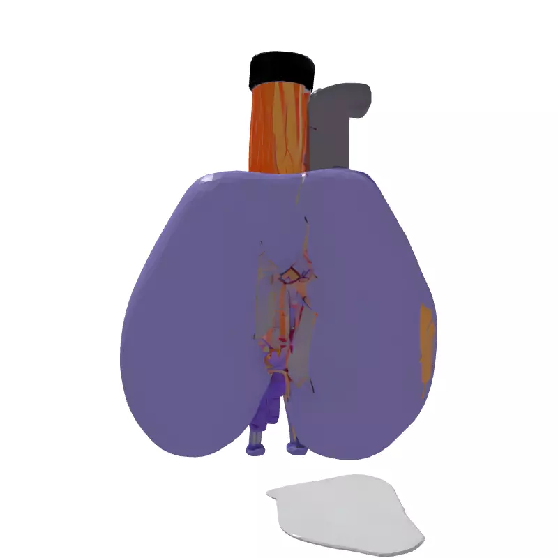 3D Human Lungs Model Low-poly 3D model_7