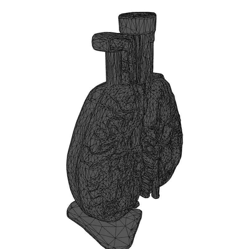 3D Human Lungs Model Low-poly 3D model_1