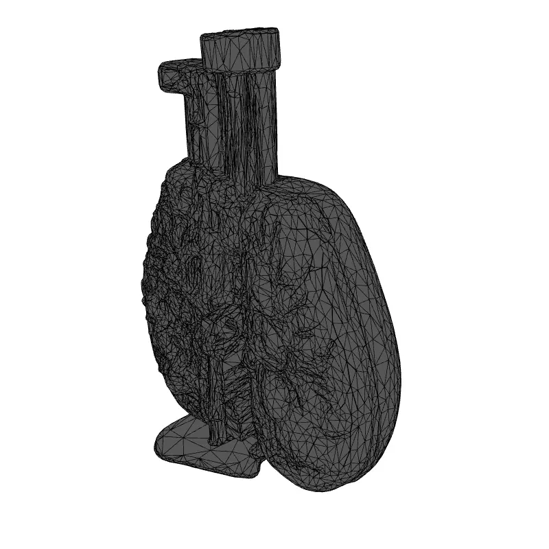 3D Human Lungs Model Low-poly 3D model_9