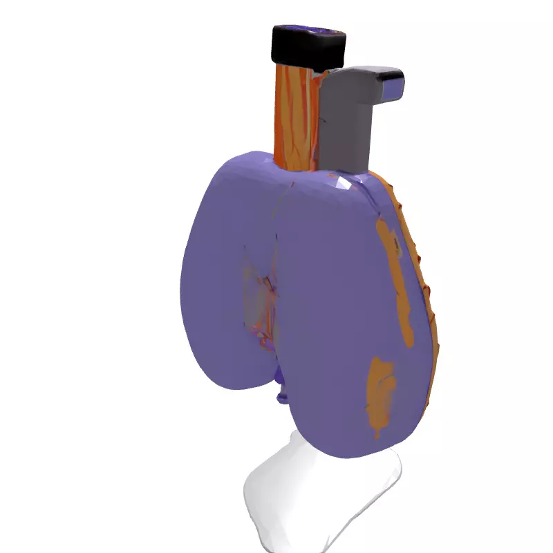 3D Human Lungs Model Low-poly 3D model_6