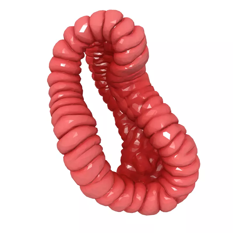 Stylized Abstract Twisted Figure Eight Low-poly 3D model_2