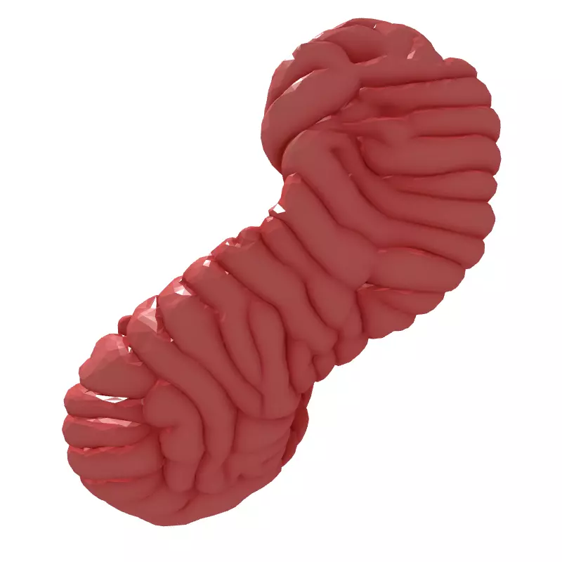 Stylized Abstract Twisted Figure Eight Low-poly 3D model_7