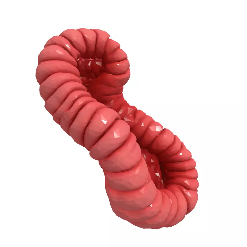 Stylized Abstract Twisted Figure Eight Low-poly 3D model_4