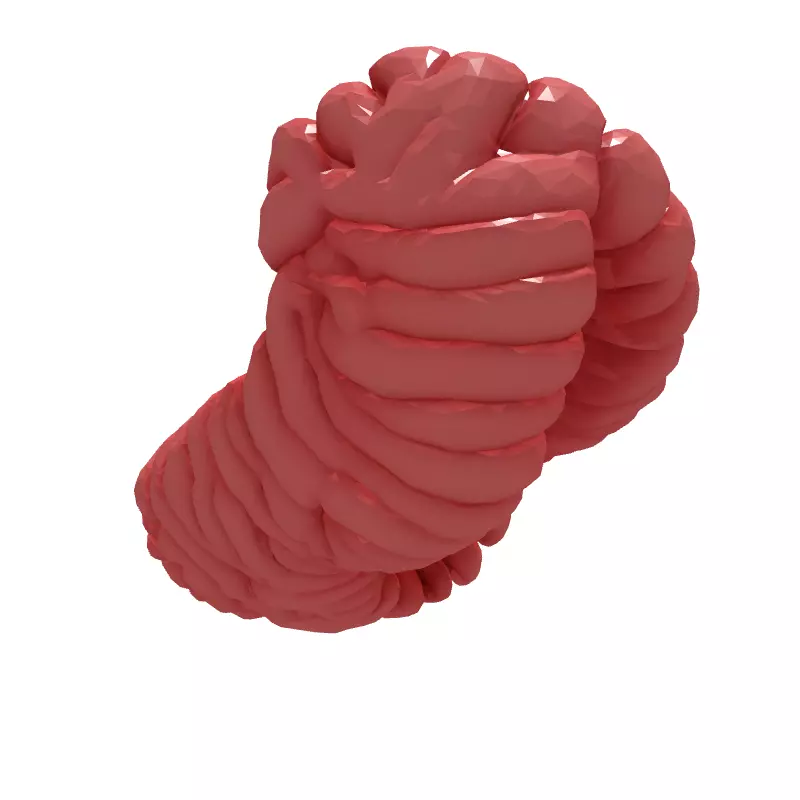 Stylized Abstract Twisted Figure Eight Low-poly 3D model_6