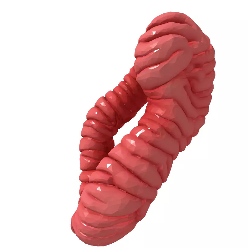 Stylized Abstract Twisted Figure Eight Low-poly 3D model_5