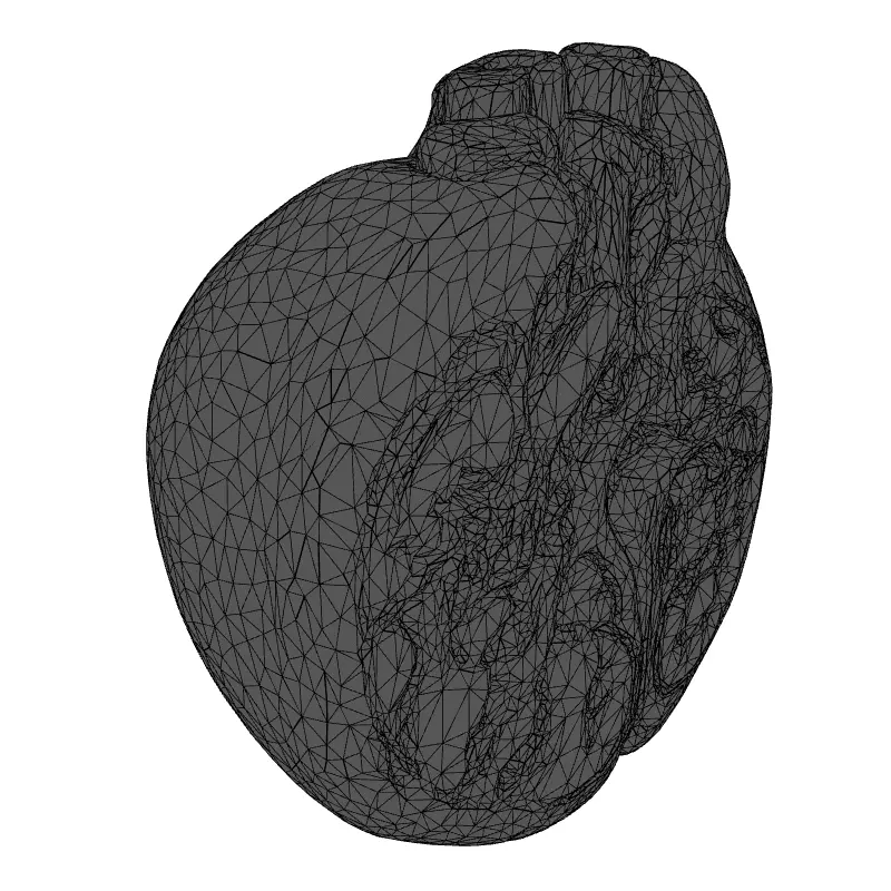 Realistic Anatomical Human Heart Model Low-poly 3D model_1