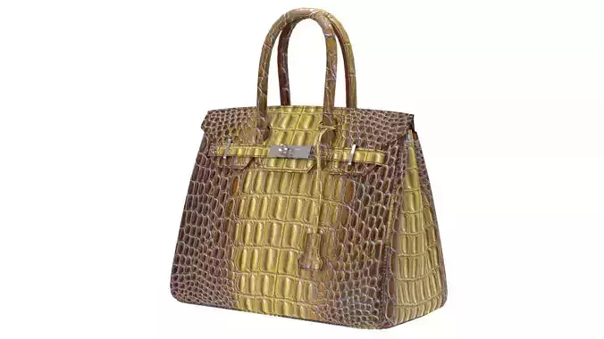 Hermes Crocodile Bags Handbag 3D Model
