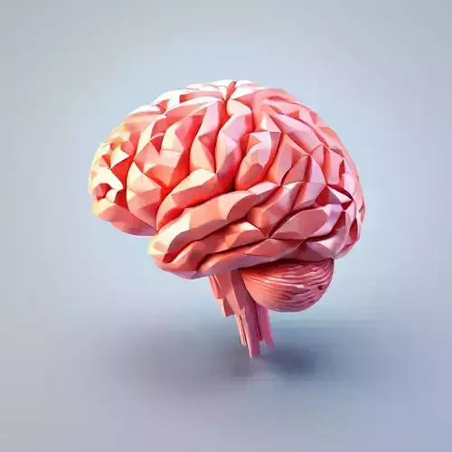 Low Poly Stylized Human Brain Low-poly 3D model