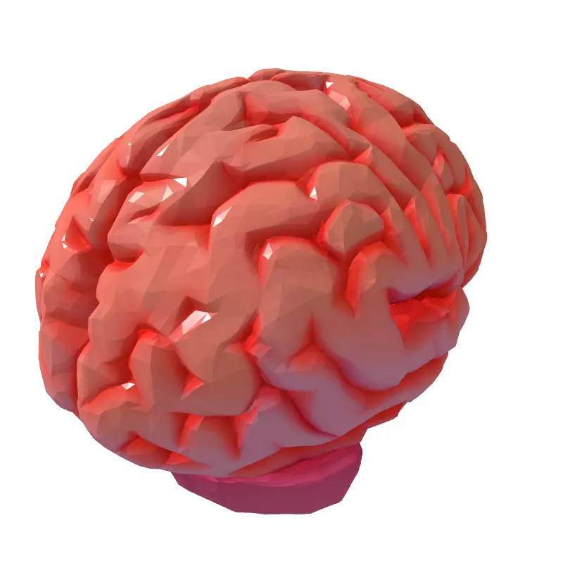 Low Poly Stylized Human Brain Low-poly 3D model_5