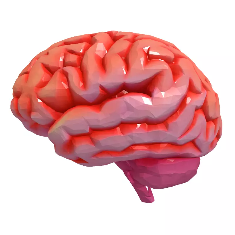 Low Poly Stylized Human Brain Low-poly 3D model_4
