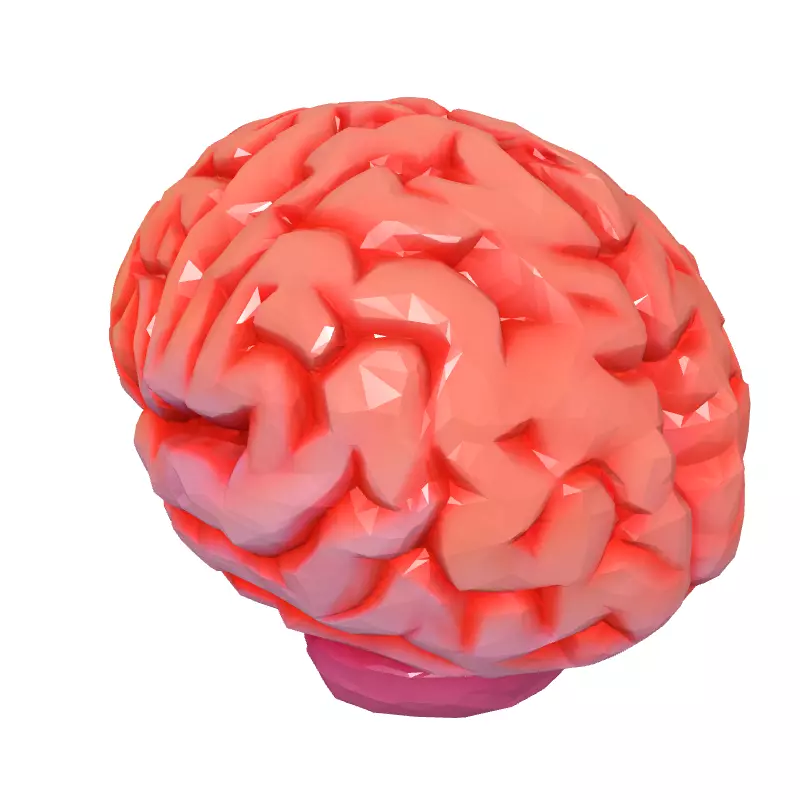 Low Poly Stylized Human Brain Low-poly 3D model_2