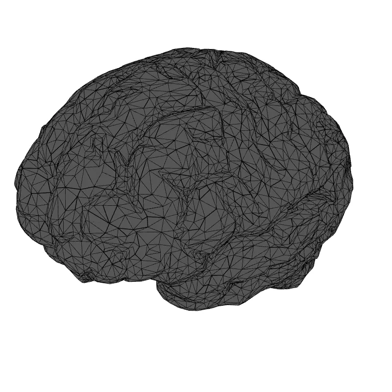 Low Poly Stylized Human Brain Low-poly 3D model_1