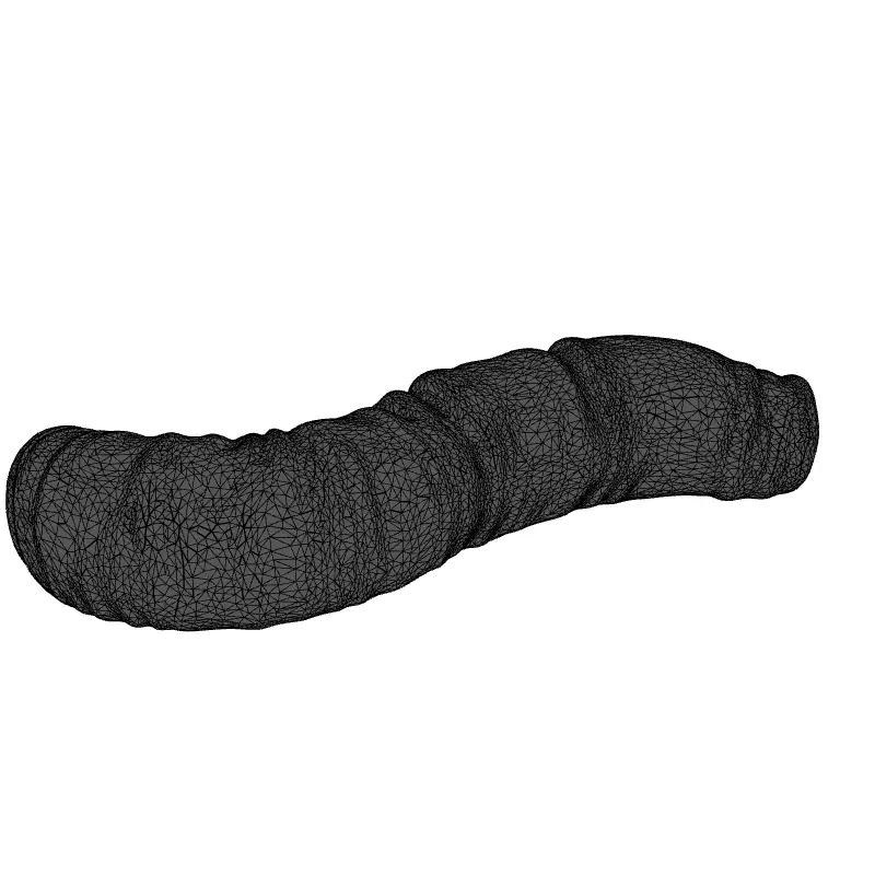 Realistic Segmented Earthworm 3D Model Low-poly 3D model_9