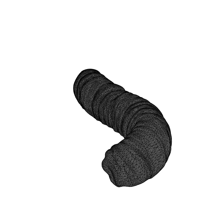 Realistic Segmented Earthworm 3D Model Low-poly 3D model_1