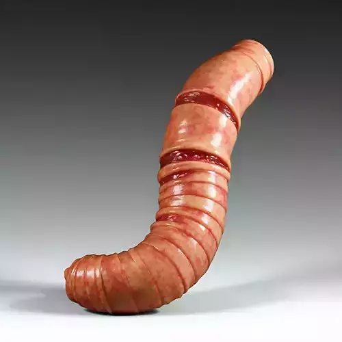 Realistic Segmented Earthworm 3D Model Low-poly 3D model Realistic Segmented Earthworm 3D Model Low-poly 3D model