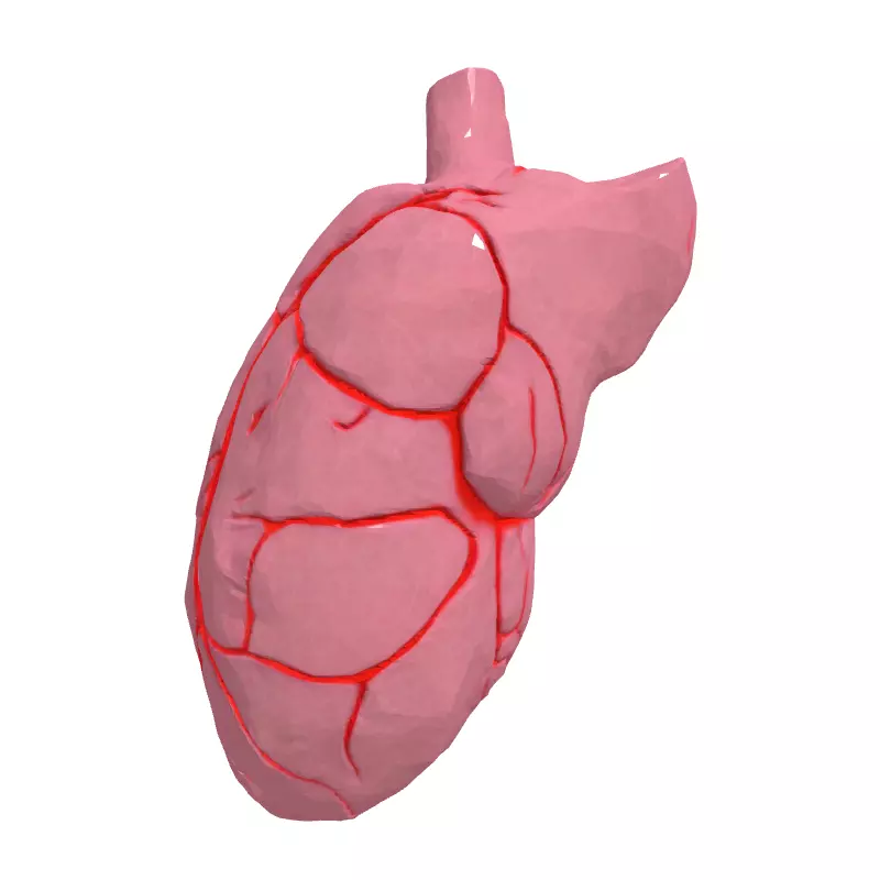 LowPoly Stylized Human Heart Low-poly 3D model_4