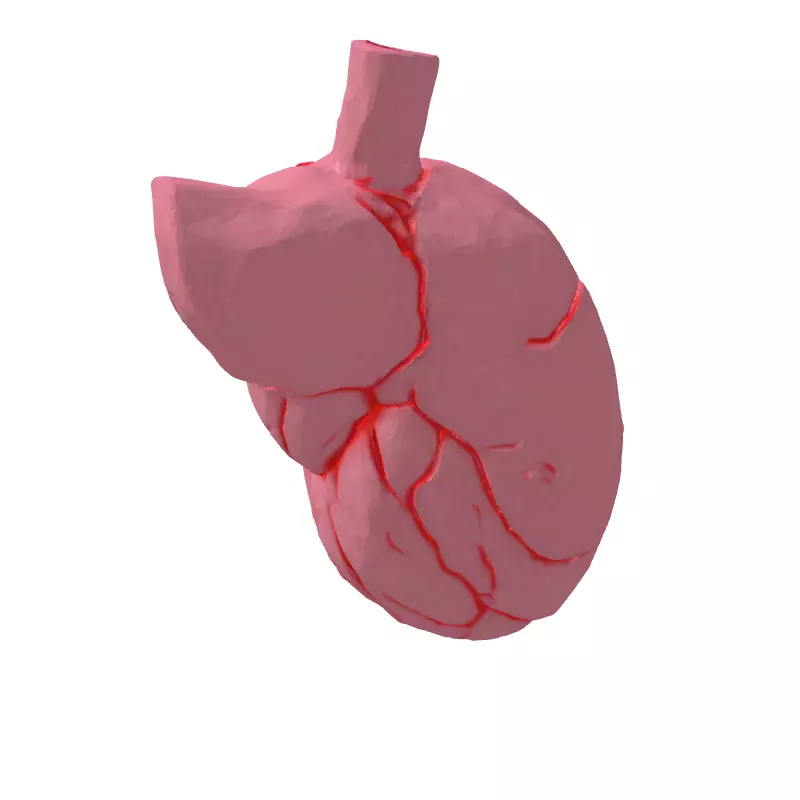 LowPoly Stylized Human Heart Low-poly 3D model_5