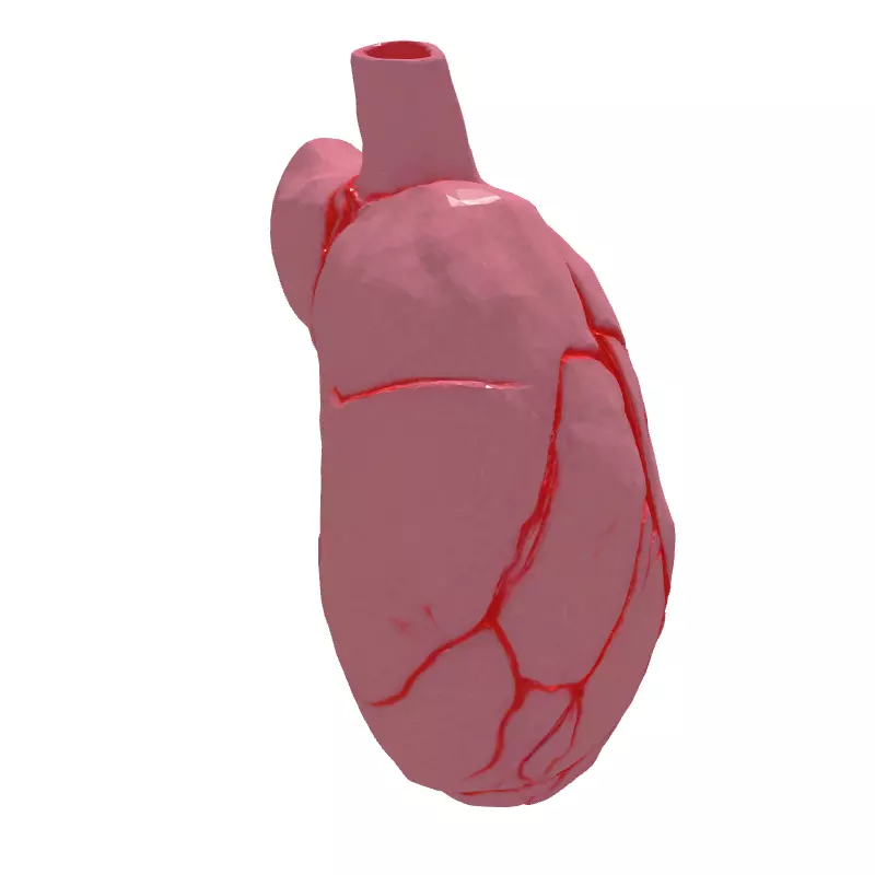 LowPoly Stylized Human Heart Low-poly 3D model_6