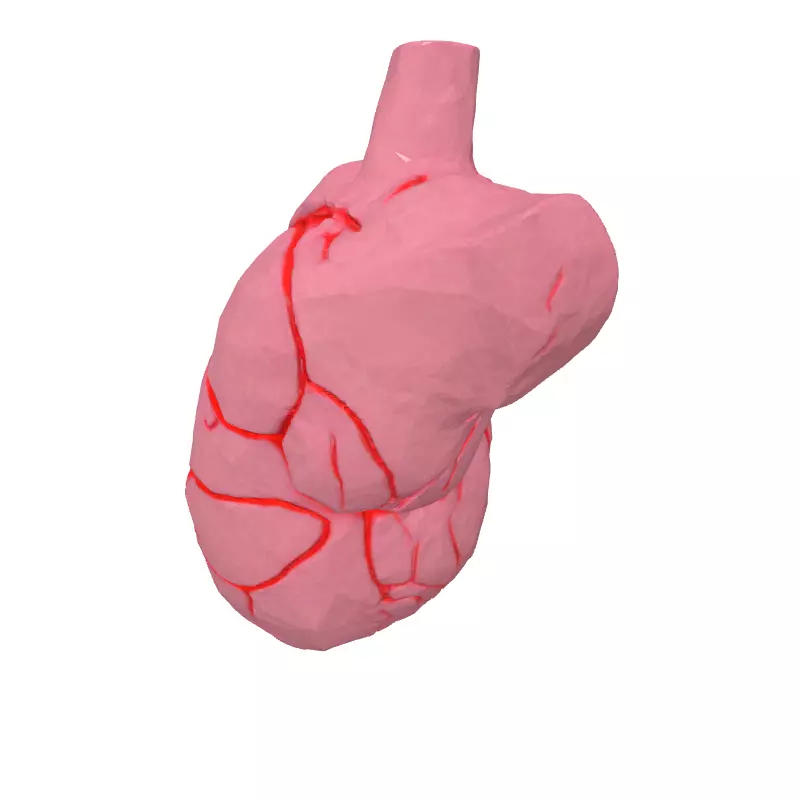 LowPoly Stylized Human Heart Low-poly 3D model_2