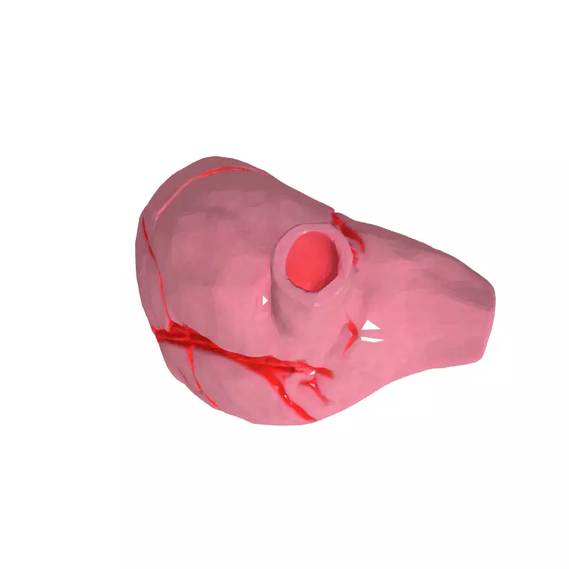 LowPoly Stylized Human Heart Low-poly 3D model_8