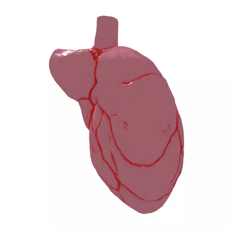 LowPoly Stylized Human Heart Low-poly 3D model_7
