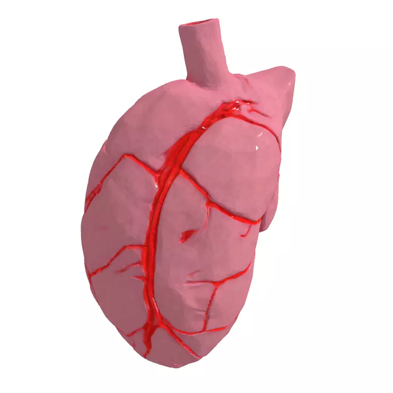 LowPoly Stylized Human Heart Low-poly 3D model_3