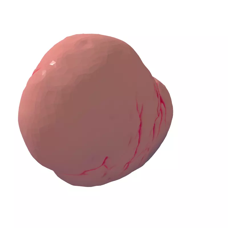 Realistic Human Spleen 3D Model Low-poly 3D model_5