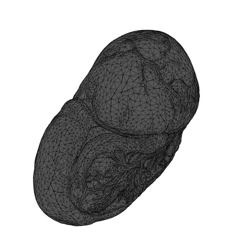 Realistic Human Spleen 3D Model Low-poly 3D model_1