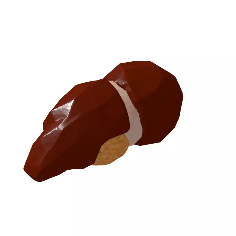 Low Poly Human Liver 3D Model Low-poly 3D model_5