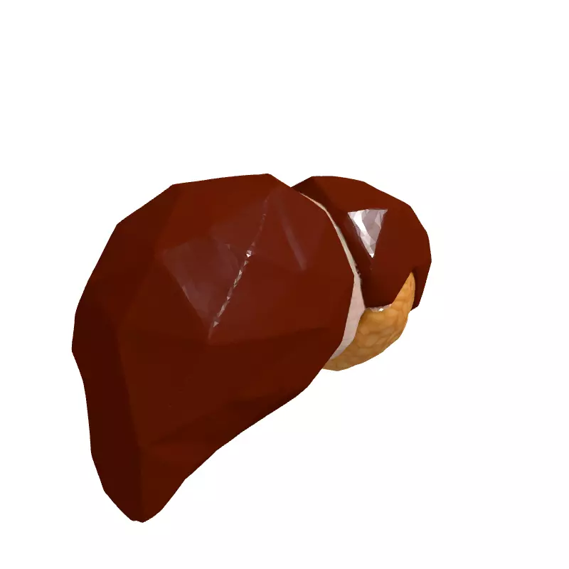 Low Poly Human Liver 3D Model Low-poly 3D model_3